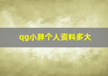 qg小胖个人资料多大