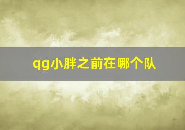 qg小胖之前在哪个队