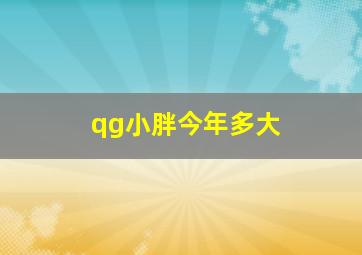 qg小胖今年多大