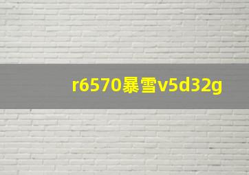 r6570暴雪v5d32g