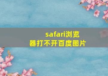 safari浏览器打不开百度图片