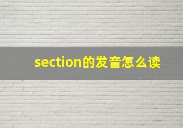 section的发音怎么读