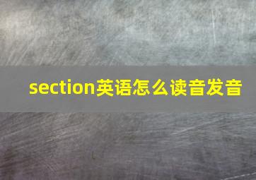 section英语怎么读音发音