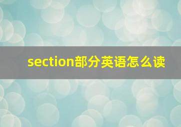 section部分英语怎么读