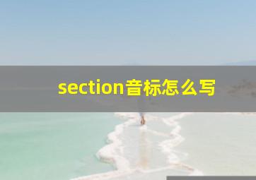 section音标怎么写