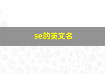 se的英文名