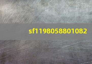 sf1198058801082