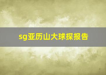 sg亚历山大球探报告