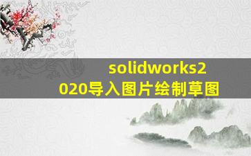 solidworks2020导入图片绘制草图