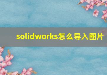 solidworks怎么导入图片