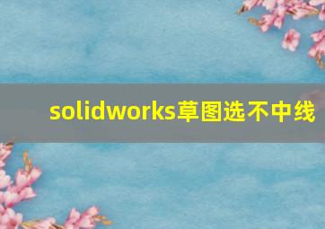 solidworks草图选不中线