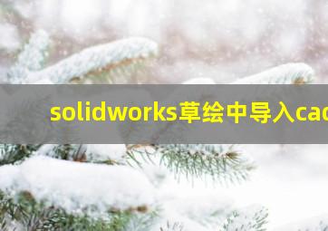 solidworks草绘中导入cad