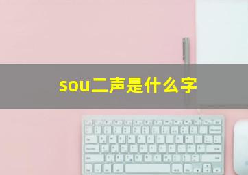 sou二声是什么字