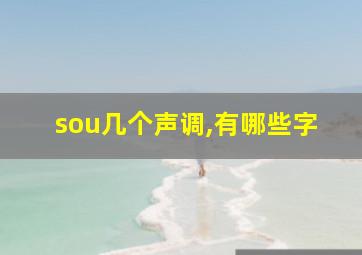 sou几个声调,有哪些字