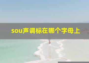 sou声调标在哪个字母上