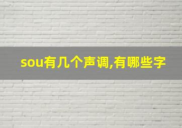 sou有几个声调,有哪些字