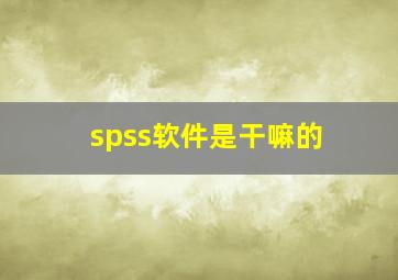 spss软件是干嘛的