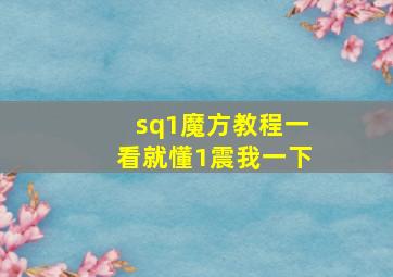 sq1魔方教程一看就懂1震我一下