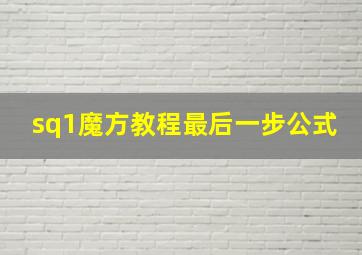 sq1魔方教程最后一步公式