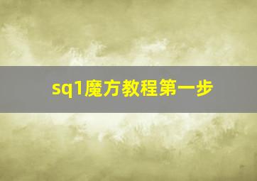 sq1魔方教程第一步