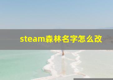 steam森林名字怎么改