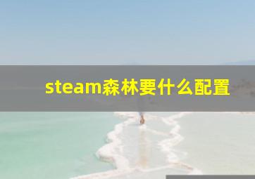 steam森林要什么配置