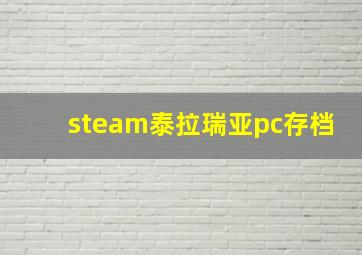 steam泰拉瑞亚pc存档