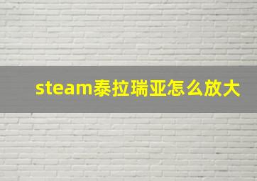 steam泰拉瑞亚怎么放大