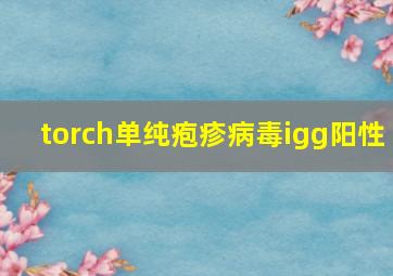 torch单纯疱疹病毒igg阳性