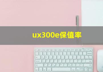 ux300e保值率