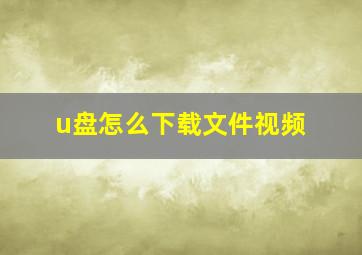 u盘怎么下载文件视频