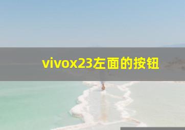 vivox23左面的按钮