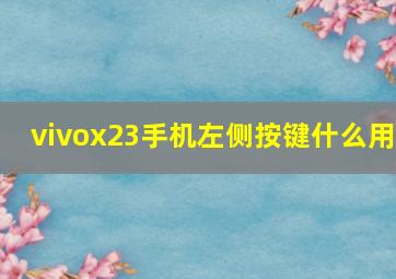 vivox23手机左侧按键什么用