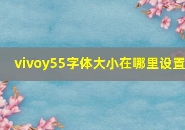 vivoy55字体大小在哪里设置