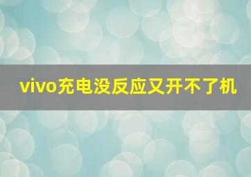 vivo充电没反应又开不了机