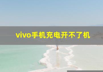 vivo手机充电开不了机