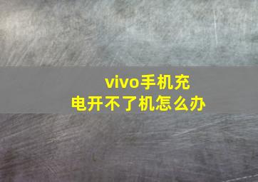 vivo手机充电开不了机怎么办