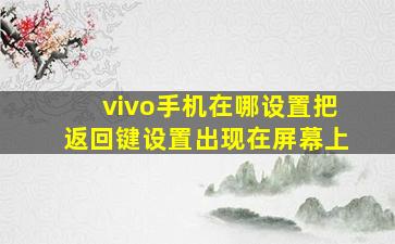 vivo手机在哪设置把返回键设置出现在屏幕上