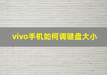 vivo手机如何调键盘大小