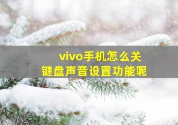 vivo手机怎么关键盘声音设置功能呢