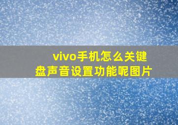 vivo手机怎么关键盘声音设置功能呢图片