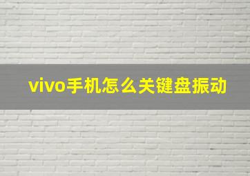 vivo手机怎么关键盘振动