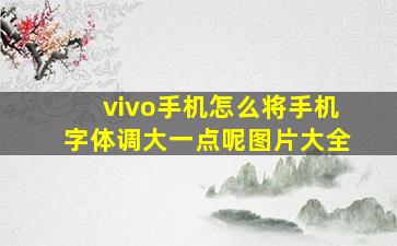 vivo手机怎么将手机字体调大一点呢图片大全