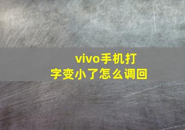 vivo手机打字变小了怎么调回