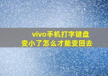 vivo手机打字键盘变小了怎么才能变回去