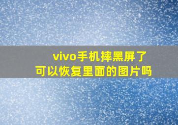 vivo手机摔黑屏了可以恢复里面的图片吗