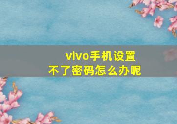 vivo手机设置不了密码怎么办呢