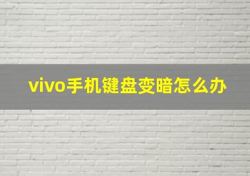 vivo手机键盘变暗怎么办