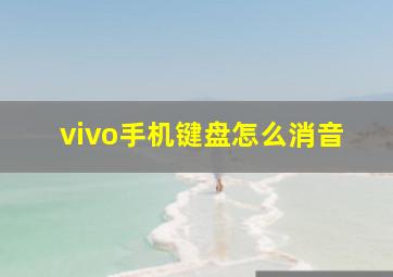 vivo手机键盘怎么消音