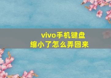 vivo手机键盘缩小了怎么弄回来